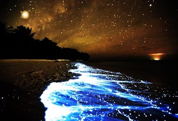 Udah Tau Romantisnya Pulau Vadhoo Gan Sist?