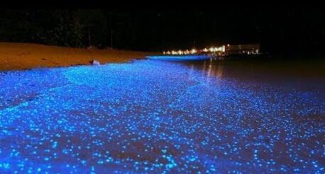 Udah Tau Romantisnya Pulau Vadhoo Gan Sist?