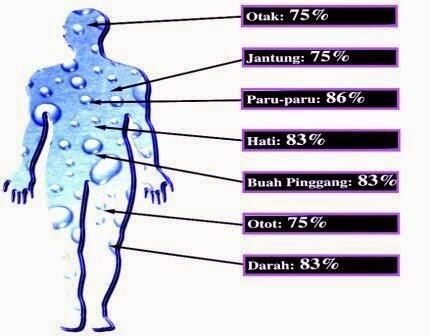 Air Mineral Kemasan vs Air Isi Ulang. Mana Lebih Layak Untuk Dikonsumsi?