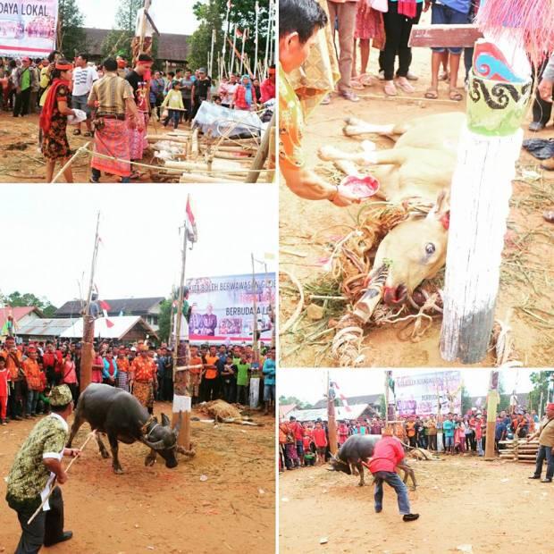 Mengenal Ritual Besar Adat Dayak &quot;TIWAH&quot; (MAU TAU TUMBALNYA APA)