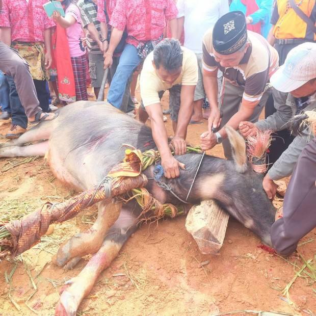 Mengenal Ritual Besar Adat Dayak &quot;TIWAH&quot; (MAU TAU TUMBALNYA APA)