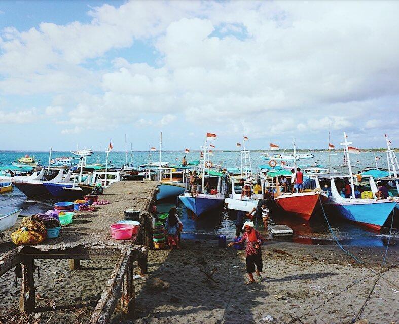 Menelusuri Pelelangan Hiu Ilegal Terbesar di Lombok