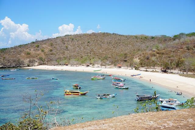 Menelusuri Pelelangan Hiu Ilegal Terbesar di Lombok