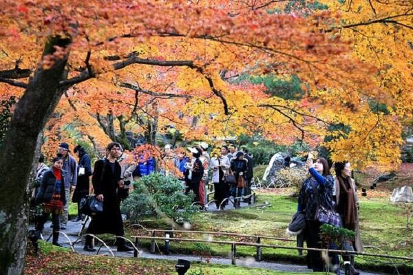 Baca ini sebelum agan pergi liburan musim gugur di Jepang!