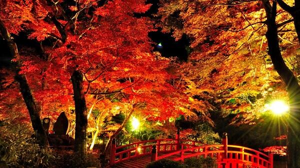 Baca ini sebelum agan pergi liburan musim gugur di Jepang!