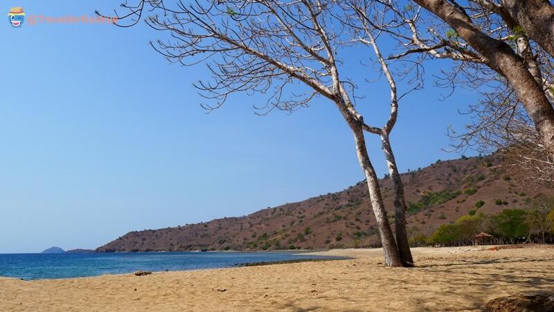 Sebelum Berkunjung Ke Taman Nasional Komodo, Ketahuilah 6 Fakta Seru ini !!