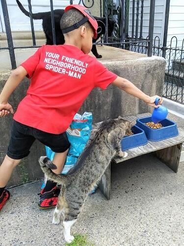 Catman, Superhero yang Suka Menolong Kucing Liar