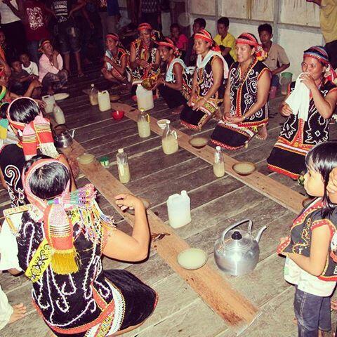 Filosofi MINUMAN Keras Khas adat Dayak (Baram Arak Bahaya)