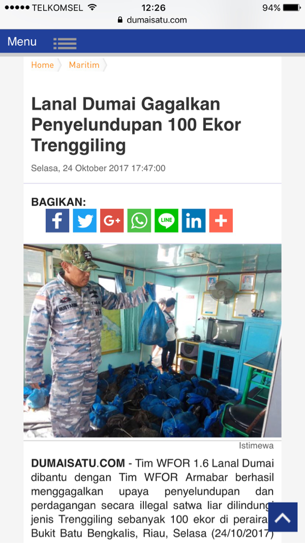 Lanal Dumai Gagalkan Penyelundupan 100 Ekor Trenggiling