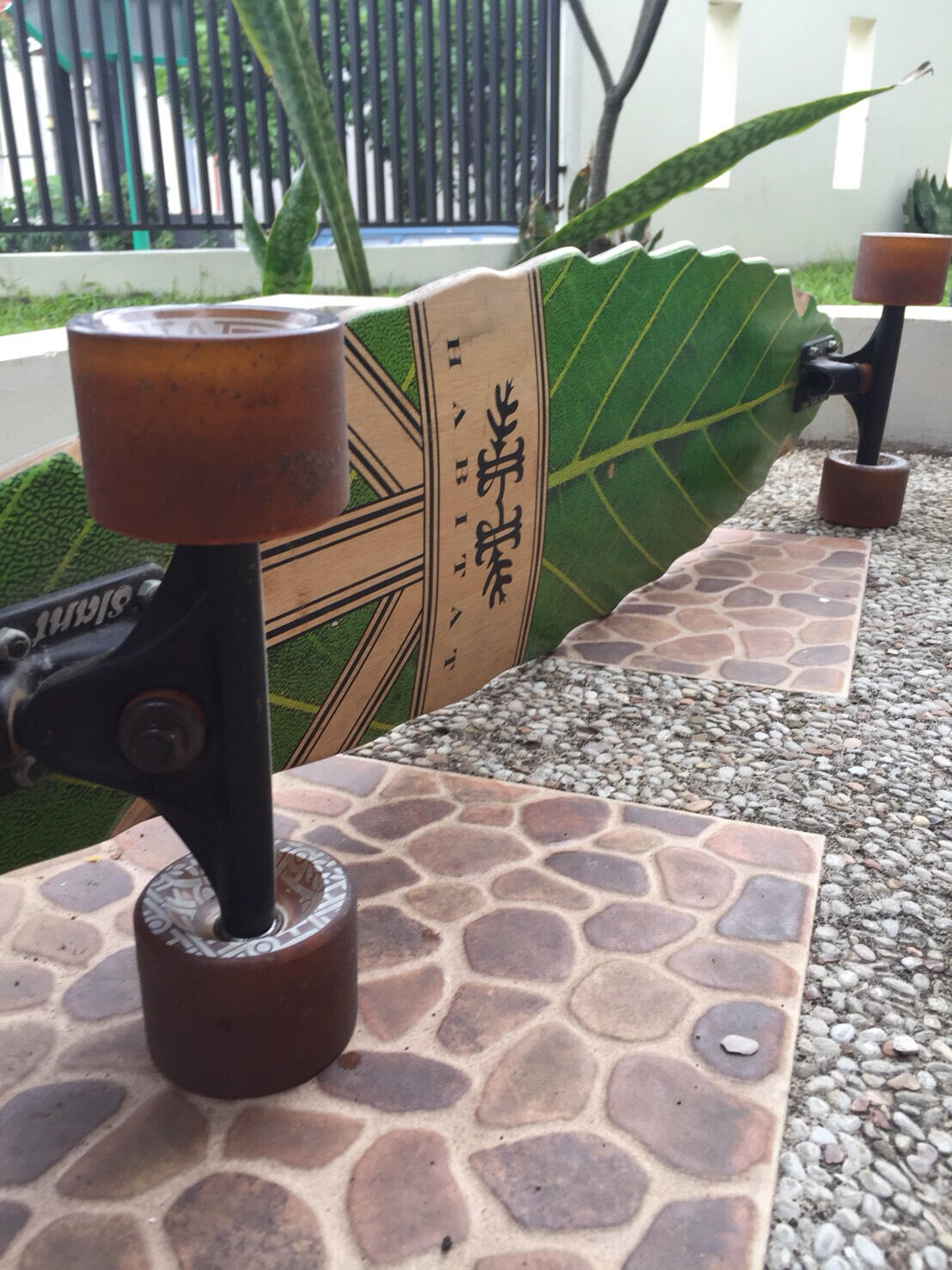 Collected Item Longboard