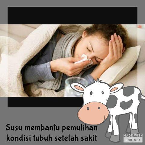 Manfaat Minum Susu Sebelum Tidur