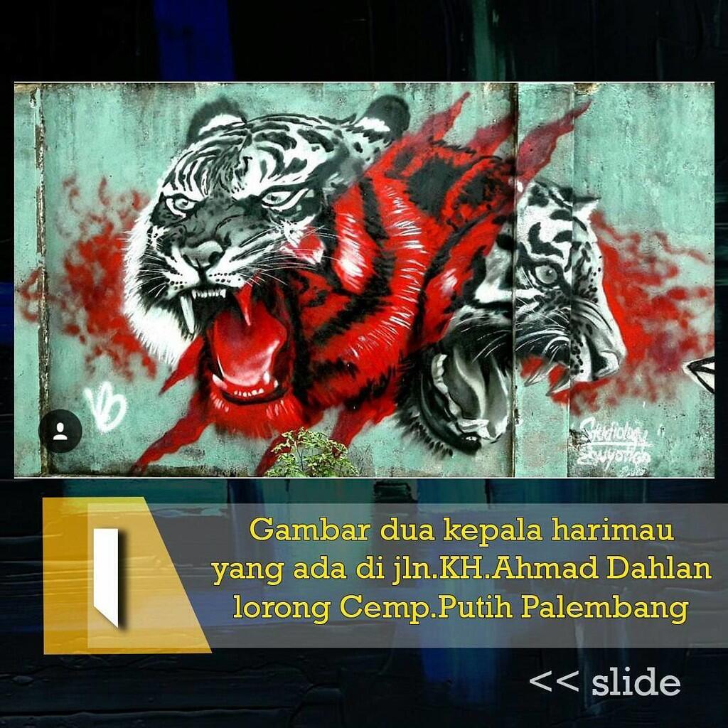 5 Gambar Ini terlihat nyata loh di Dinding kota palembang