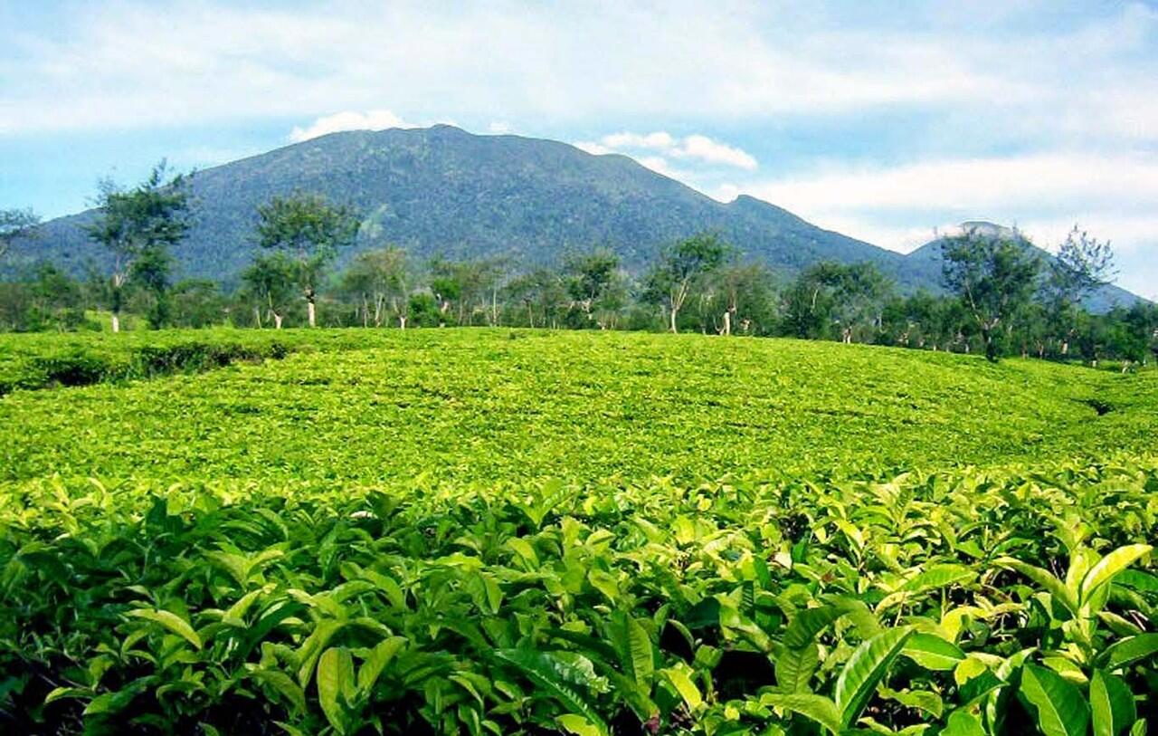 14 Pesona Wisata Sumedang