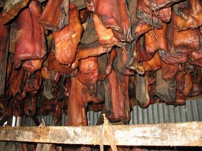 5 Makanan Aneh dan Menyeramkan Dari Seluruh Dunia