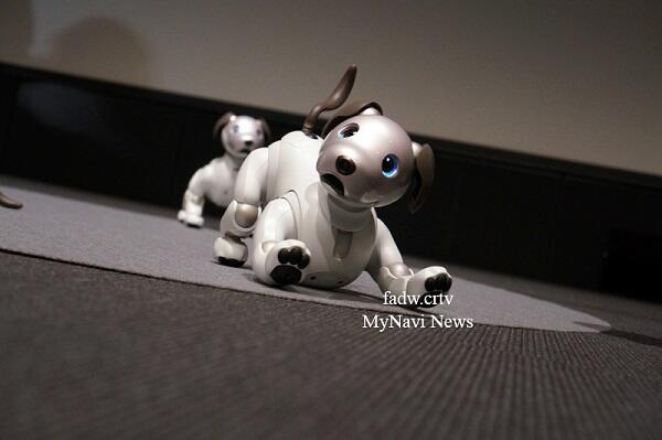 “Aibo”, Si Anjing Besi Yang Siap Diluncurkan Sony