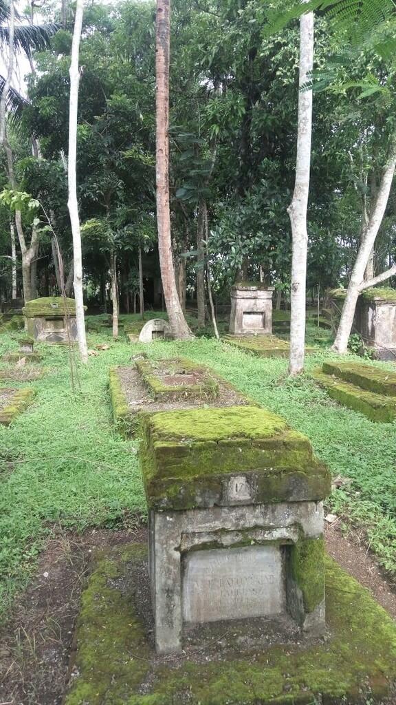 &#91;KISMIS&#93; Kisah antara Saya, Mbah Jenggot, Macan Putih dan Pendamping 