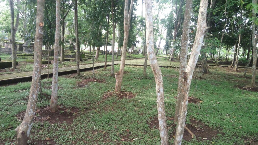 &#91;KISMIS&#93; Kisah antara Saya, Mbah Jenggot, Macan Putih dan Pendamping 