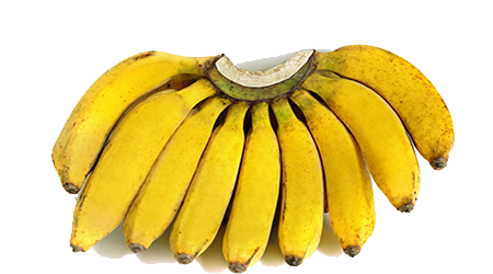 8 Fakta Pisang yg Wajib kamu Ketahui Versi 8 Unik