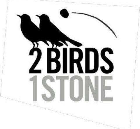 Two birds one stone. Kill two Birds with one Stone. Kill two Birds with one Stone idiom. Kill two Birds with one Stone иллюстрация. One Stone.
