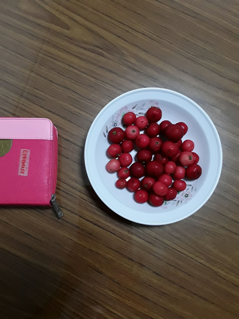 Manfaat dan Khasiat Buah (Kenangan) Lobi-Lobi atau loba-lubi untuk Kesehatan