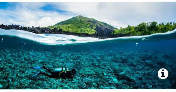 Indonesia, Destinasi Selam Terbaik di Dunia