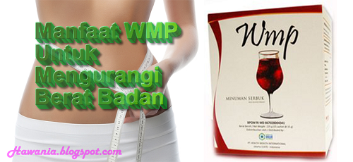 Manfaat WMP Untuk Menurunkan Berat Badan