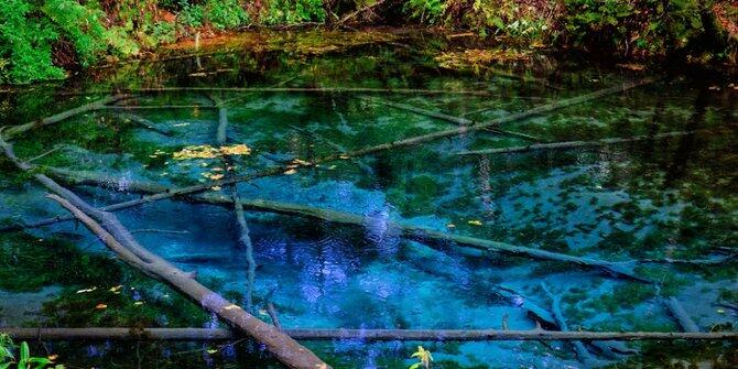 Surga di muka bumi, inilah 7 kolam natural paling indah di dunia