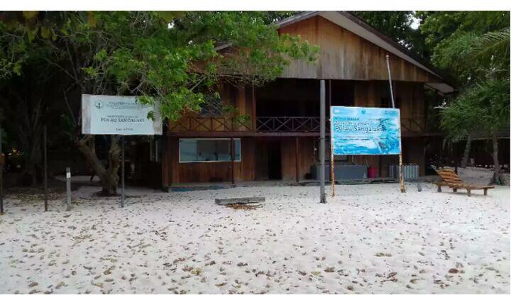 Selamat Pagi Penyu-Penyu Kecil Pulau Sangalaki