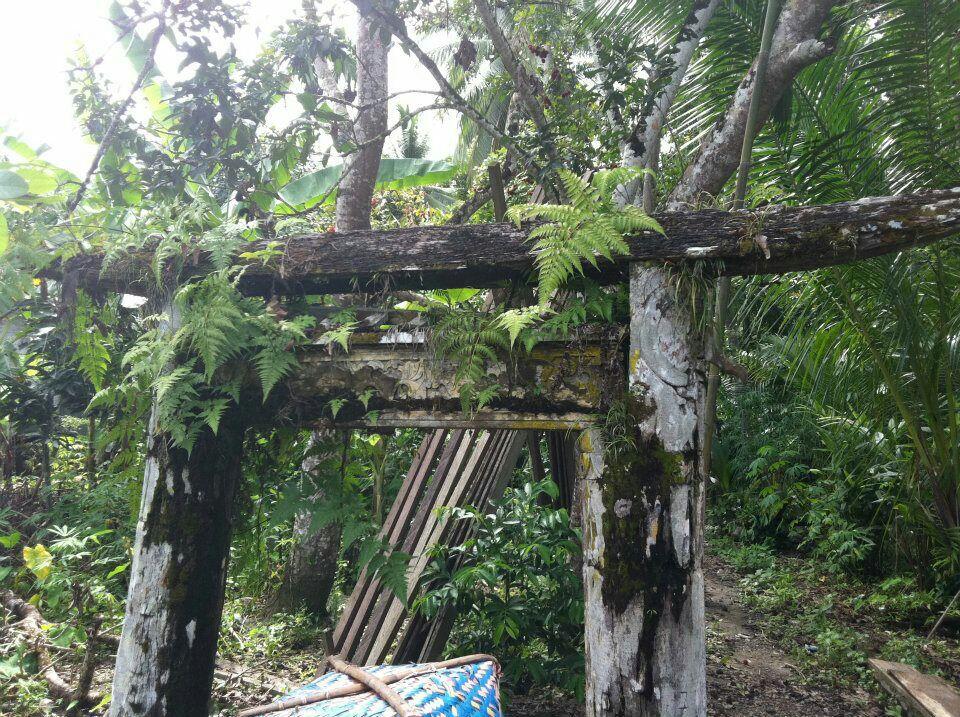 FENOMENA MUMIFIKASI PADA PROSESI TIWAH (DEWASA)