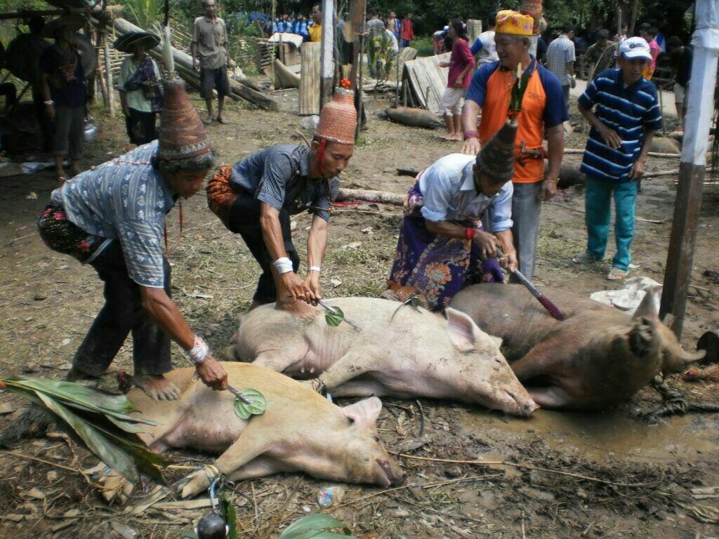 BATUNU (Prosesi Pemakaman Pesaguan Yang Harus Kamu Tau)