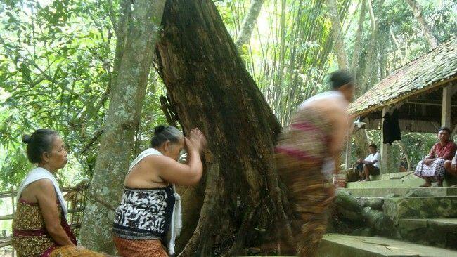 Bisa Masuk Kolom Agama di KTP, Ini Foto-foto Ritual Adat Bonokeling