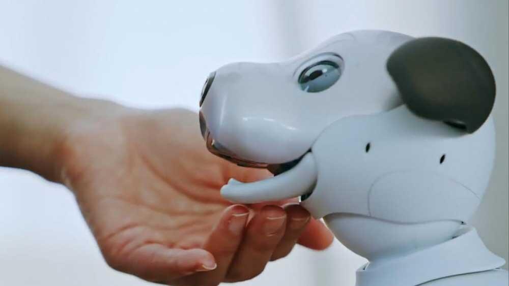 SONY Membangkitkan Kembali Aibo Dengan Sepasang Mata OLED Dan AI Yang Canggih