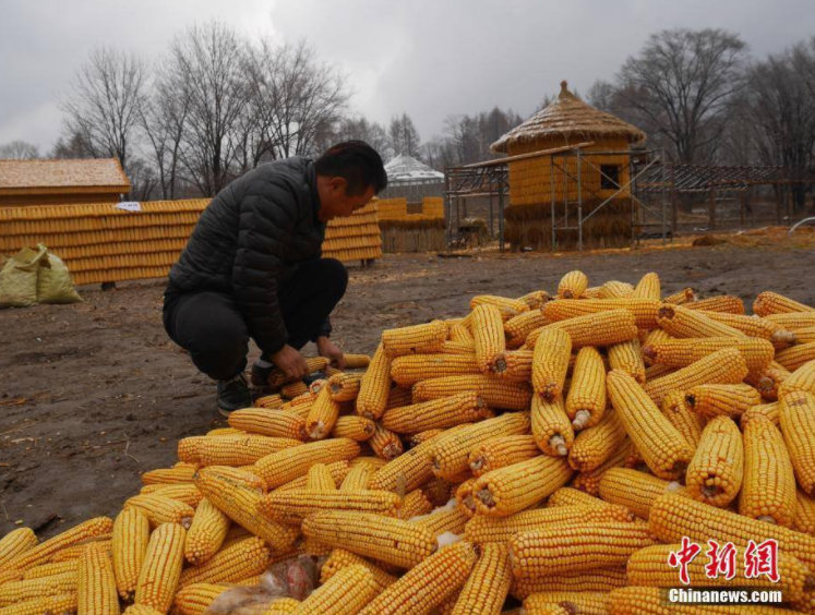 Petani China Ini Membangun &quot;Rumah dan Halaman Emas&quot; !