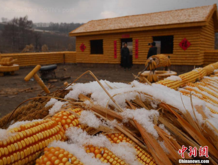 Petani China Ini Membangun &quot;Rumah dan Halaman Emas&quot; !