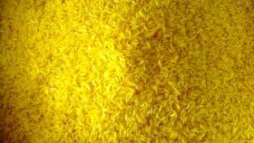 Ada Yang Tau Beras Kuning?