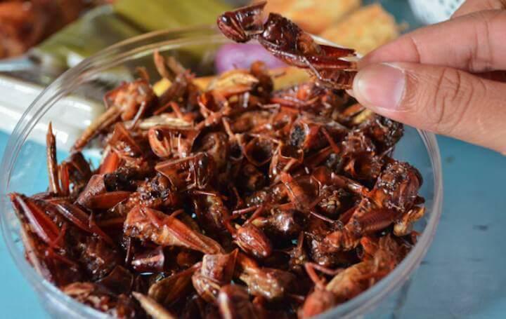 KULINER ENAK KHAS YOGYAKARTA SELAIN GUDEG