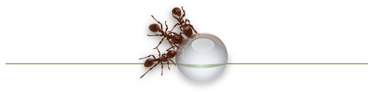 3 ALASAN UTAMA, Kenapa Belanja Di Hari Harbolnas Itu Mengasyikkan!