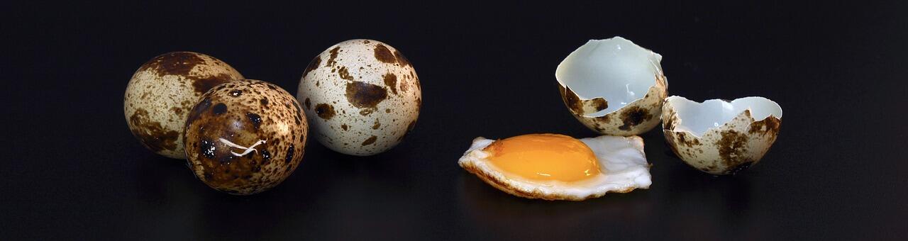 5 Manfaat Telur puyuh bagi kesehatan tubuh