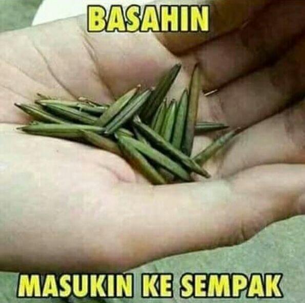 Kamu Tahu 10 Meme Jenis Permainan Ini? Berarti Kamu Bukan 'Kids Jaman Now