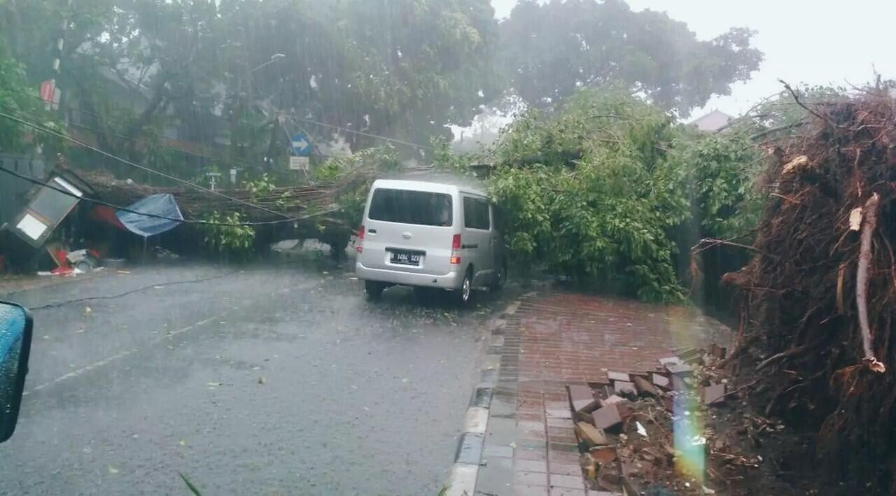 Jakarta Hujan Deras, Pohon dan Baliho Bertumbangan