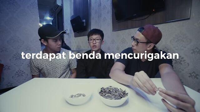 5 Penjelasan Penglaris With Indigo (Antara Fakta &amp; Mitos)