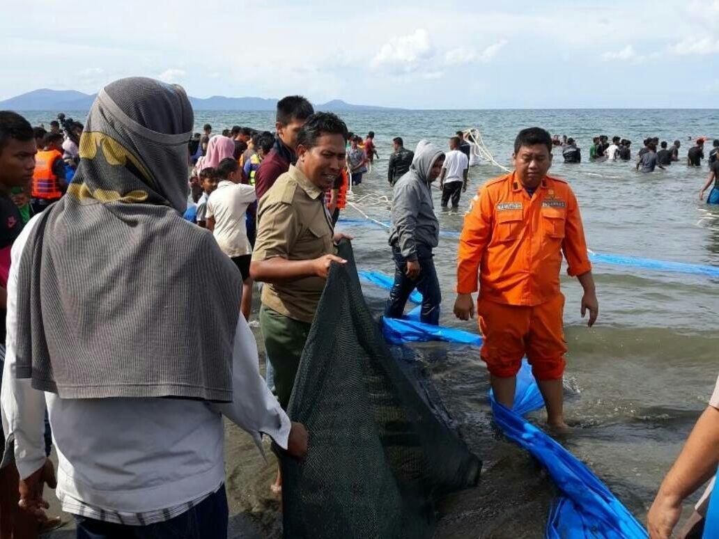 10 Ekor ikan Paus Terdampar Di Pantai Aceh Besar