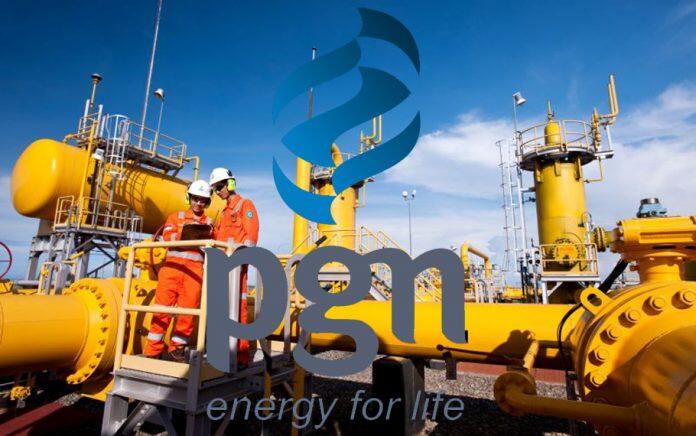 Pakai Gas Bumi, Industri Dapat Berhemat Hingga 40%