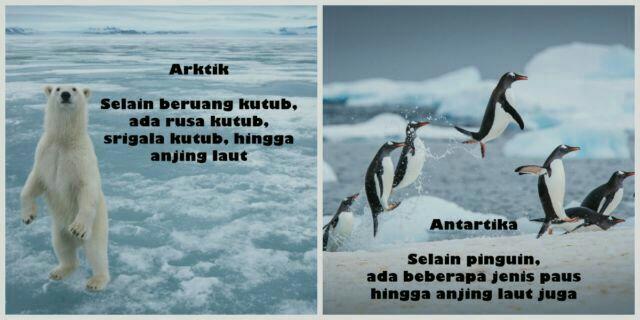 PERBEDAAN KUTUB UTARA DAN KUTUB SELATAN BUMI