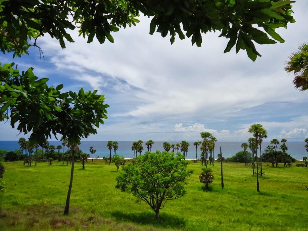 keindahan pulau mules di NusaTenggara Timur