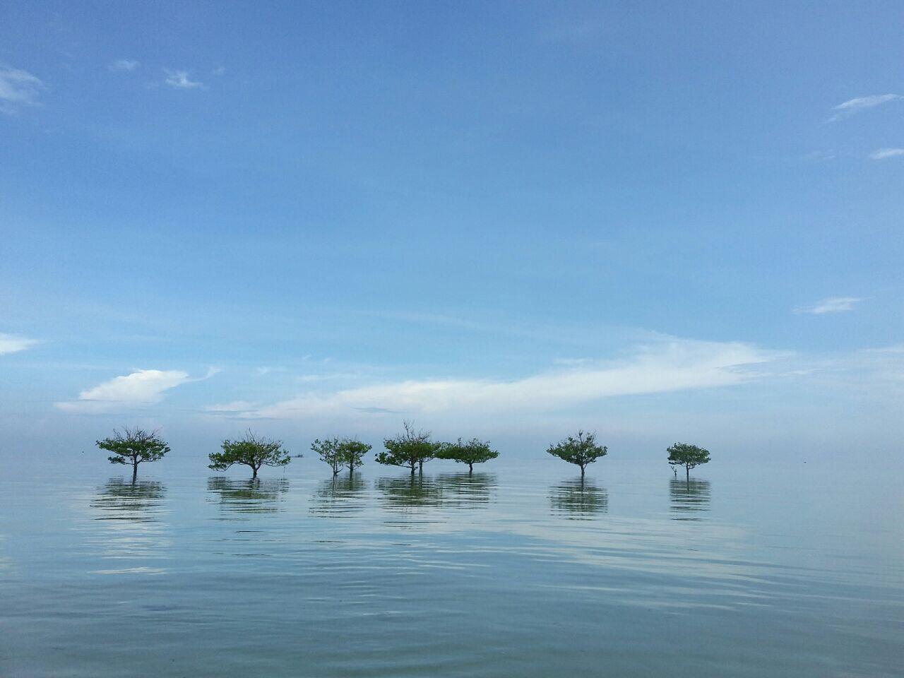 2 Hari di Bontang, bisa kemana aja?