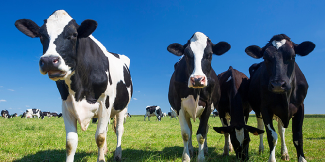 Tak cuma global warming, ini 6 dampak besar akibat ulah makhluk hidup!