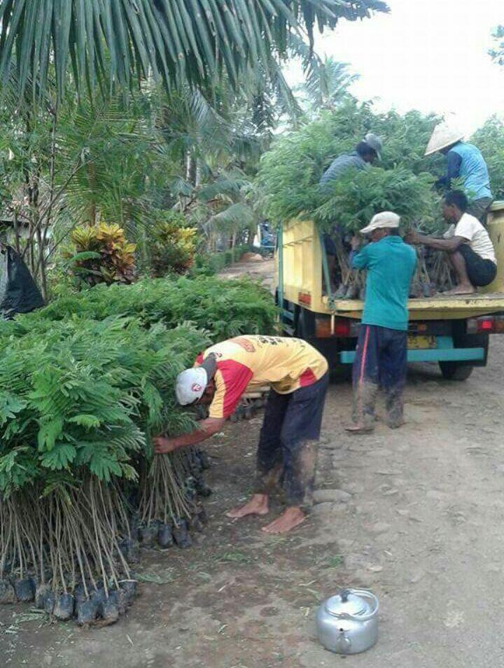 Mengenal &quot;Kampung Hijau&quot; Rejowinangun