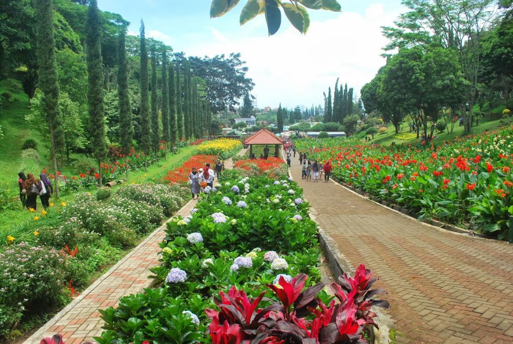 Taman-Taman Terindah di Indonesia yang Menanti untuk Kamu Sambangi