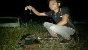 10 Kuburan Massal Paling Mengerikan dan Misteri Kuburan Massal Sampit (DEWASA)